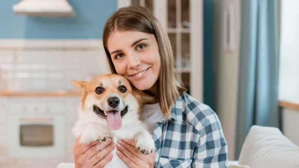 Descubra como tornar o dia a dia do seu pet mais confortável