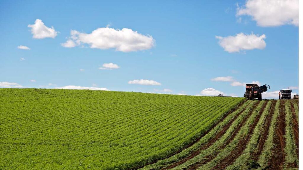 fazenda em minas gerais