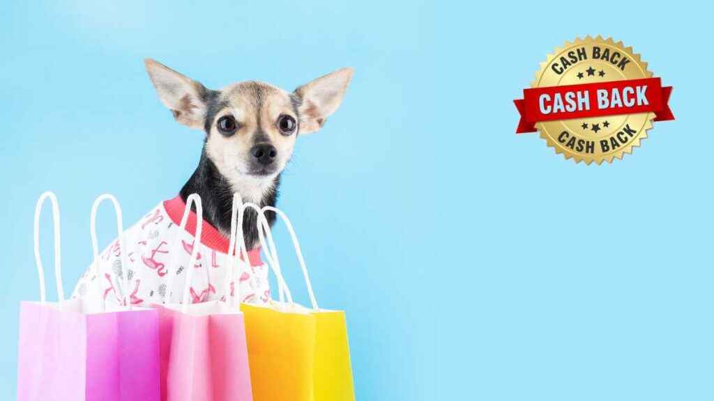 Cashback em compras de petshops: economize no cuidado com seu pet